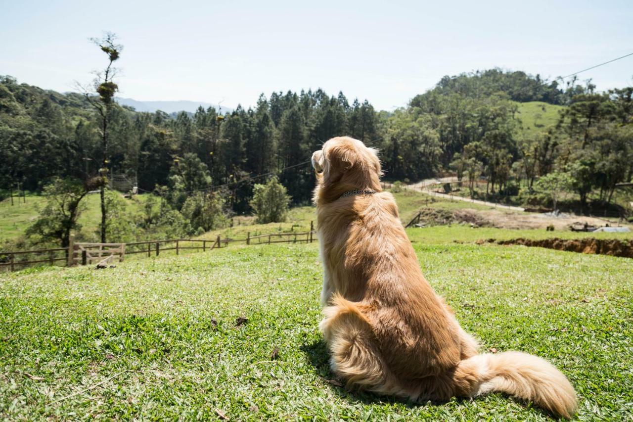 Fazenda Dona Francisca